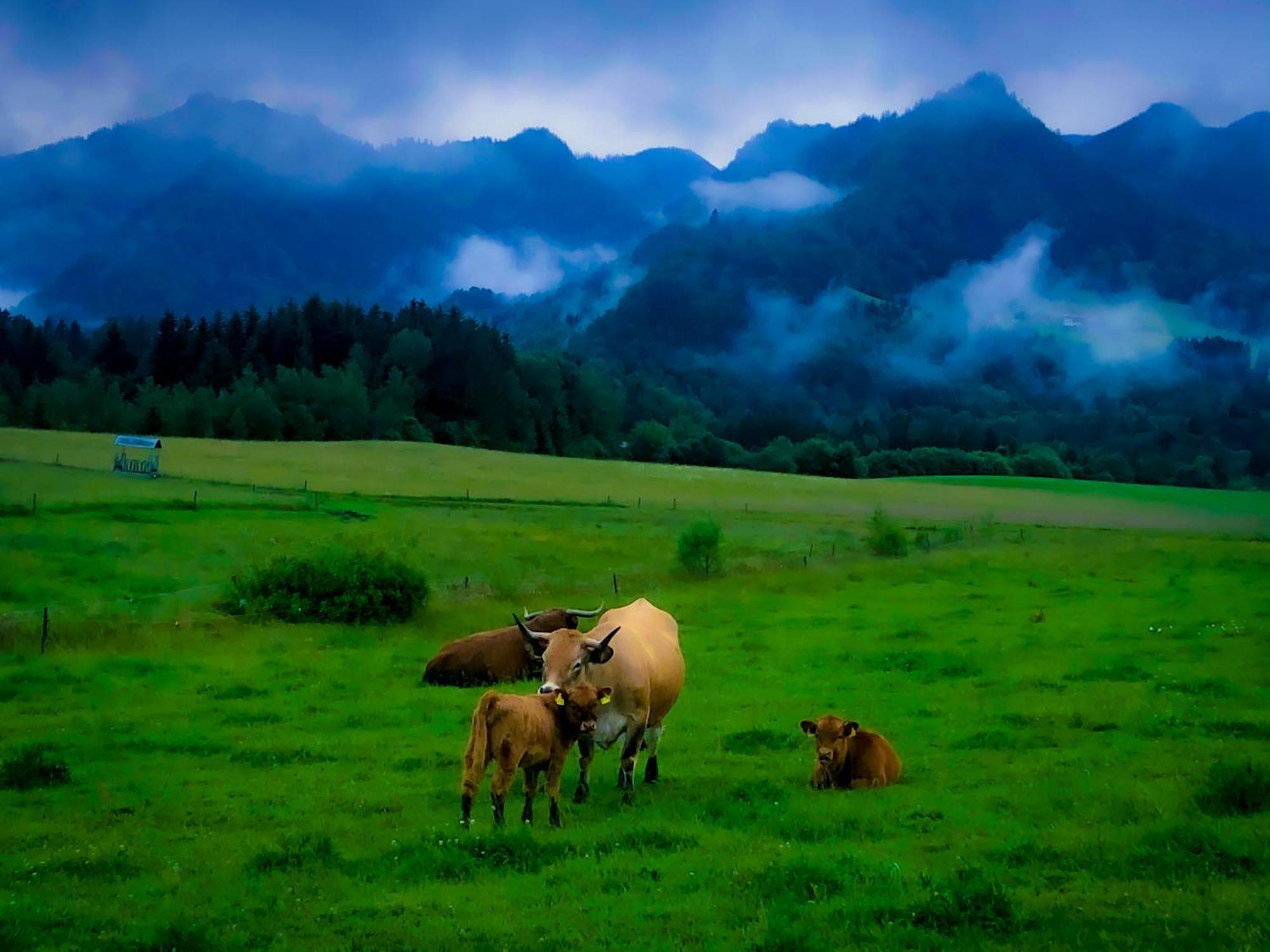 Ferienwohnungen Gastager Hof Ruhpolding Exteriér fotografie
